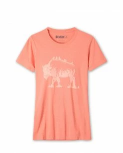 Brand new ๐ Stio Women's Bison Perch Tee ๐