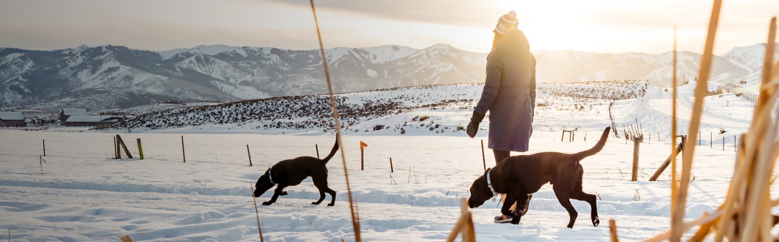 Stio Sales Shop -Stio Sales Shop a75d91db 1ca0 46a0 9257 cb352a5f7b57 240202 HP LFS Insulation scaled